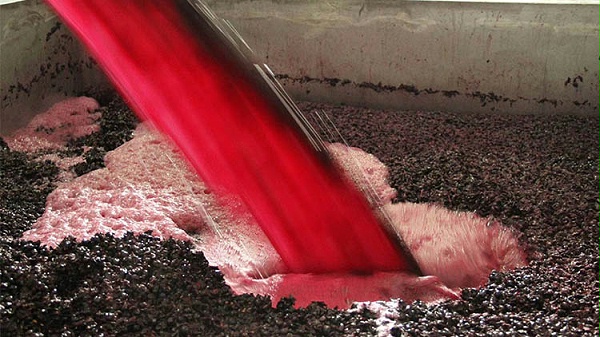 中菲酒庄,葡萄皮在酿酒中的重要作用